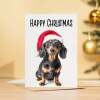 Fun Christmas Card of a Dachshund Dog Wearing A Santa Hat Whimsical Christmas Card For Animal Lover For Him or Her - Portrait (5x7) / Blank Inside