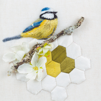 Blue tit on Patchwork Perch 150mm Square Greetings Card by Sarah J Perry