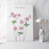 Feminine floral geranium birthday card for her -  designed by Eloise Hall - 15.7 x 11cm and blank inside, made in the UK