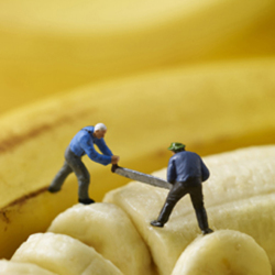 Banana splitters 150mm Square Greetings Card by Akiko Ida and Pierre Javelle