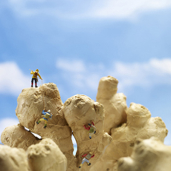 Taking it gingerly 150mm Square Greetings Card by Akiko Ida and Pierre Javelle