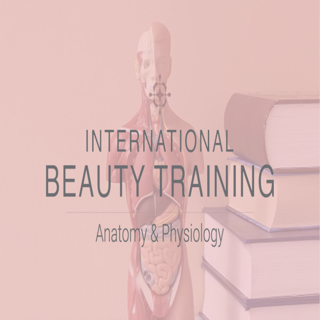 Anatomy & Physiology - Online - Course