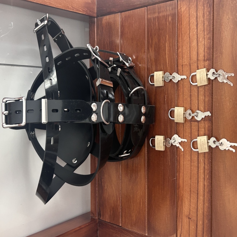 Lockable silicone bondage hood
