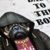 Dad to the Bone funny pug in clothes Father’s Day card for dad, daddy, father from son, daughter (Animalyser) (Size A6/A5/A4/Square 6x6") - A6: Single card