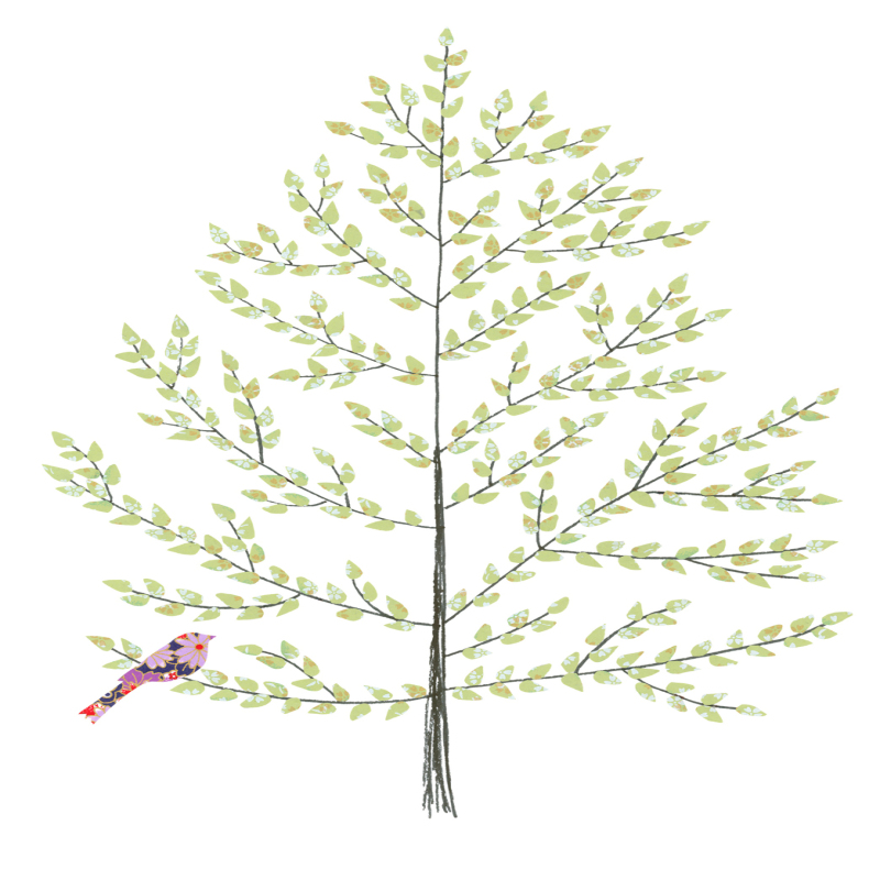 Beech Tree Greeting Card