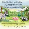 Funny Birthday Card pig donkey seagull badger A5 uncoated textured
