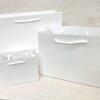 Plain Gift Bags for Personalisation / Wedding Bags / Bags for all occasions / White and Black Bags / Paper Gift Bag with Rope Handles - White - Small Landscape