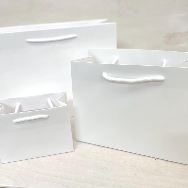 Plain Gift Bags for Personalisation / Wedding Bags / Bags for all occasions / White and Black Bags / Paper Gift Bag with Rope Handles - White - Small Landscape