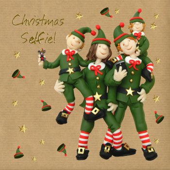Holy Mackerel Christmas selfie, a festive elf themed foiled Christmas card designed by Erica Sturla, 15cm square & blank inside for your message.