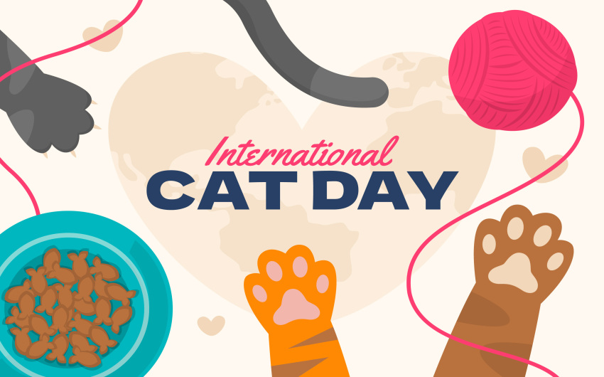 Celebrating International Cat Day: The Purrfect Feline Appreciation!