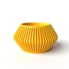 The Hendro Planter Pot with Drainage Tray & Stand Included - Matte Dark Green - 3"