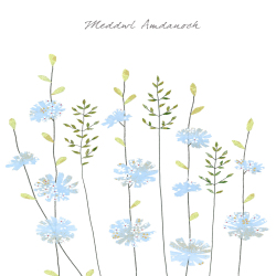 Chicory Meddwl Amdanoch (Thinking of You)