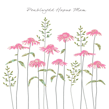 Echinacea Penblwydd Hapus Mam (Happy Birthday Mum)