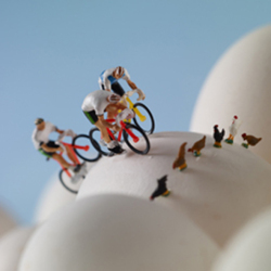Egg Cycling 150mm Square Greetings Card by Akiko Ida and Pierre Javelle