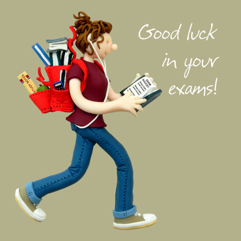 Holy Mackerel good luck in your exams card for a girl - designed by artist Erica Sturla - 15cm square and blank inside for your message