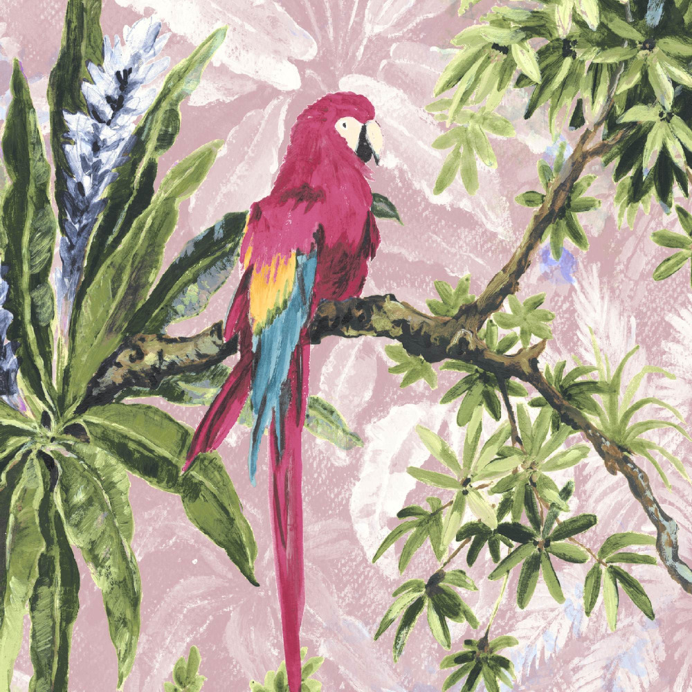 MACAW - SKY/CORAL