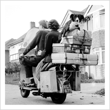 Holy Mackerel dog on bike retro black and white photographic card featuring a vintage image of a border collie on the back of a motorbike - 15cm square and blank inside