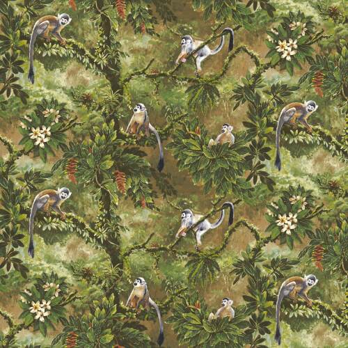 MANAUS - HONEY/FOREST