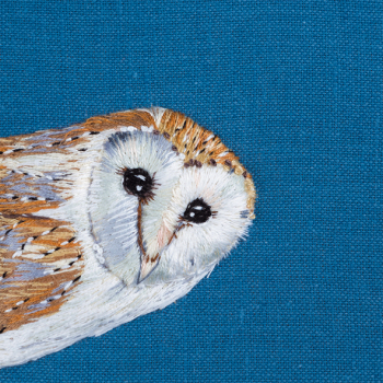Bright-Eyed barn owl 150mm Square Greetings Card by Sarah J Perry