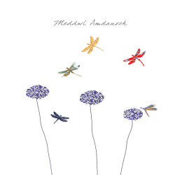 Dragonflies Meddwl Amdanoch (Thinking of You)