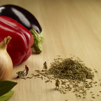 Cumin Collectors 150mm Square Greetings Card by Akiko Ida and Pierre Javelle