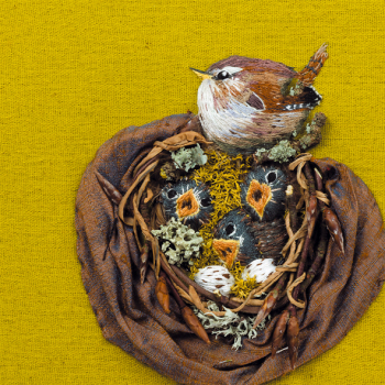 Wren with her Chicks 150mm Square Greetings Card by Sarah J Perry