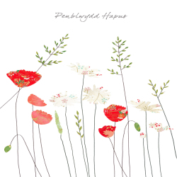 Poppies & Daisies Penblwydd Hapus (Happy Birthday)