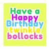 Birthday Card | Twinkle Bollocks | Square card