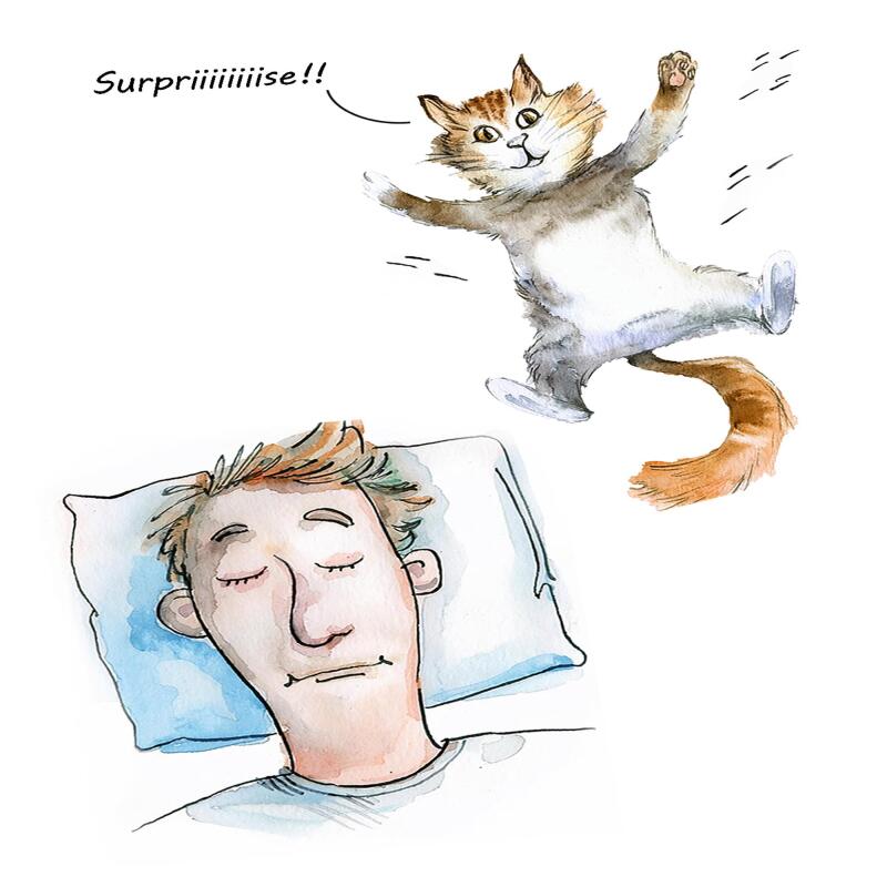 Surprise - funny cat card