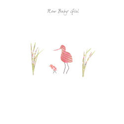 Holy Mackerel avocet new baby girl card - designed by Eloise Hall - 15.7 x 11cm and blank inside