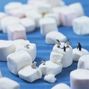 Nicebergs 150mm Square Greetings Card by Akiko Ida and Pierre Javelle