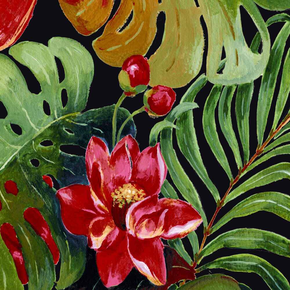 HAWAII-BLACK