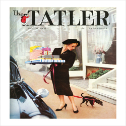 Tatler cover - puppy