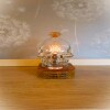 The Clear Head Vodka Block Base Table Lamp