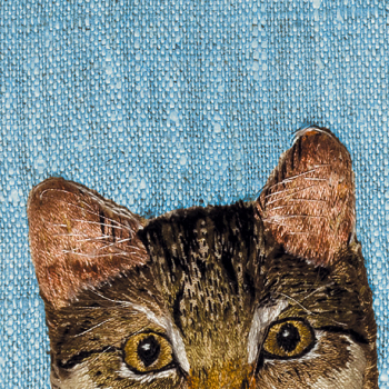 Curious cat 150mm Square Greetings Card by Sarah J Perry