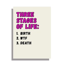 Three Stages of Life - funny birthday card