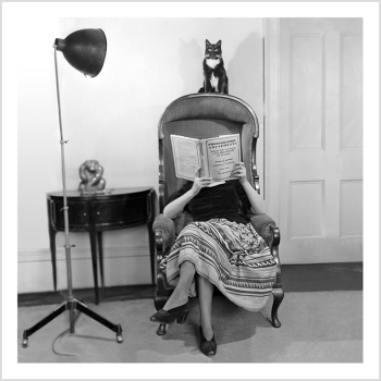 Holy Mackerel Mrs Middleton and Junior the cat retro black and white photographic card featuring a vintage image of a woman reading with her pet - 15cm square and blank inside