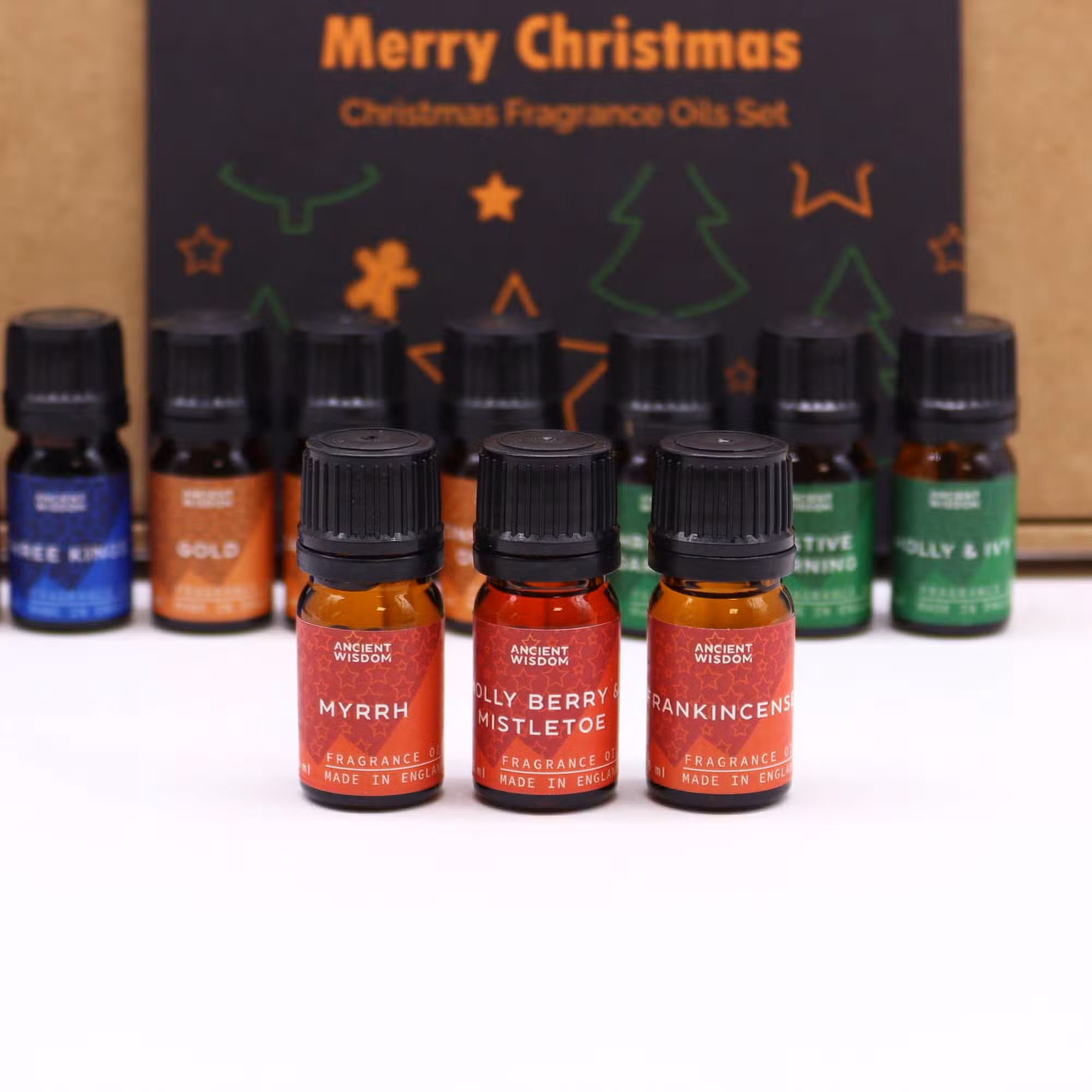 Holy Scents of Christmas Fragrance Oils Set - 12 Festive Oils