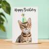 Birthday Card For Anyone Birthday Card For Friend Birthday Card For Her or For Him Bengal Cat Birthday Card For Son or Daughter - Large (5x7) / Blank Message