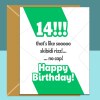 14th Birthday Card - Personalised - Funny - Nephew, Niece, Son, Daughter - Skibidi Rizz - Gen Alpha Slang - 14 year old gift ideas - Blank inside - Regular - Matte