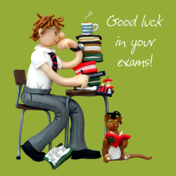 Holy Mackerel good luck in your exams card for a boy - designed by artist Erica Sturla - 15cm square and blank inside for your message