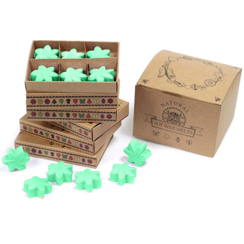 Set of 6 Wax Melts - Tuberose