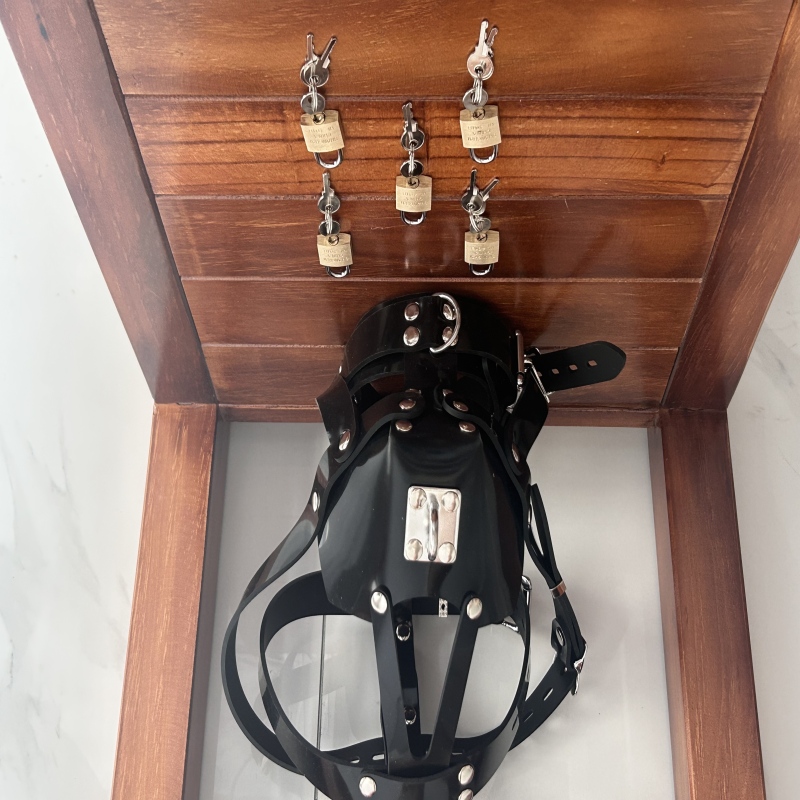Lockable silicone bondage hood
