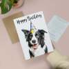 Birthday Card For Him or Her Fun Birthday Card of A Collie Dog Happy Birthday Card For Mum, Dad, Sister Brother - Large (5x7) / Blank Message