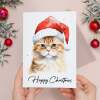 Cat Christmas Card Featuring A Ginger Cat Wearing a Santa Hat Fun Christmas Card For Him or Her Christmas Card For Anyone Christmas Gift - Large (5x7) / Blank Message