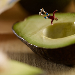 Avocado 150mm Square Greetings Card by Akiko Ida and Pierre Javelle