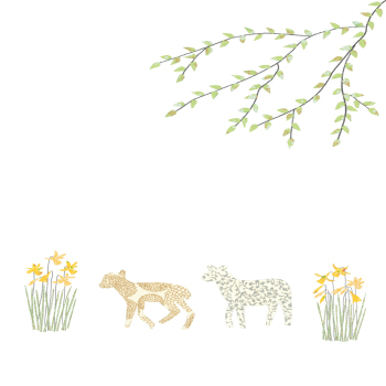 Lambs Blank Greeting Card