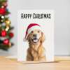 5 x Fun Christmas Card of a Golden Labrador Dog Wearing A Santa Hat Whimsical Christmas Card For Animal Lover For Him or Her - Small (4x6) / Pack of 5