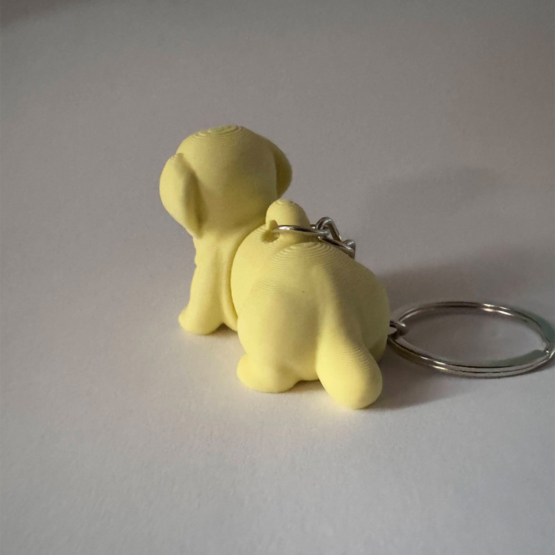 Golden Retriever Keyring