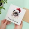 Fun Christmas Card of a Ragdoll Cat Wearing A Santa Hat Whimsical Watercolour Christmas Card For Animal Lover For Him or Her - Square (5.5x5.5) / Blank Inside